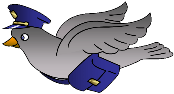 photo pigeon